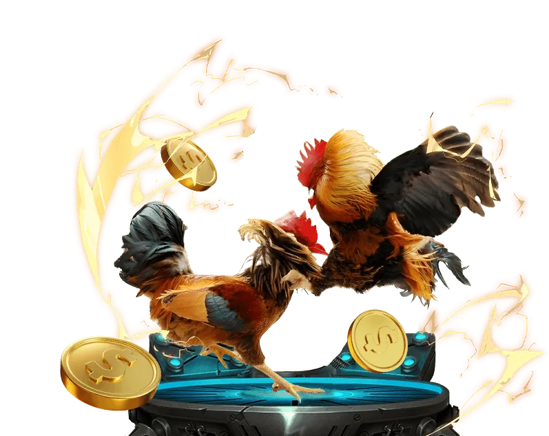 Cá cược quần vợt tại EV88 link